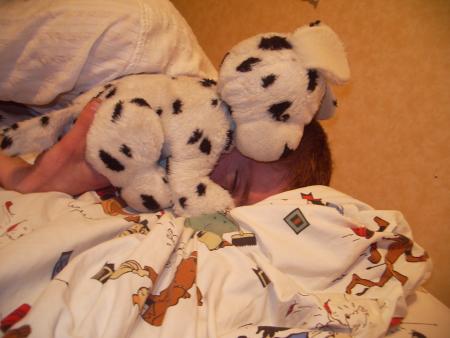 David et Mickey