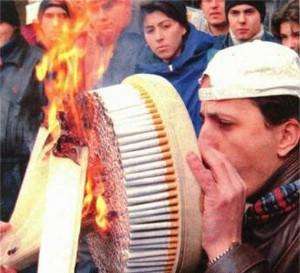 Insolite